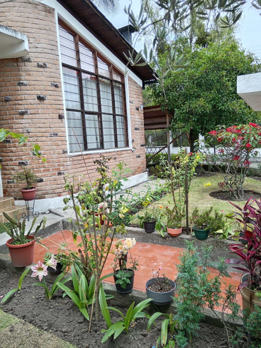 Hospedaje canino en Sangolquí: jardín y zona exterior de KRAVet