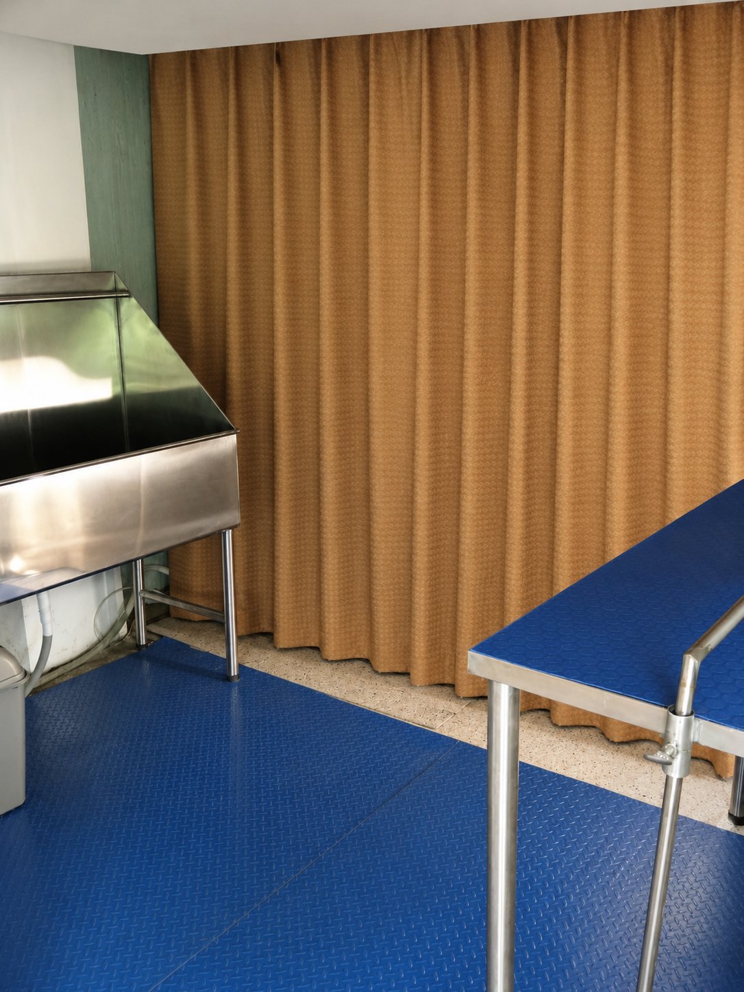 Sala de estética de Peluquería Canina en KRAVet, Sangolquí